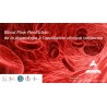 Blood Flow Restriction (BFR) : de la physiologie à l’application clinique raisonnée avec Andréa Braga